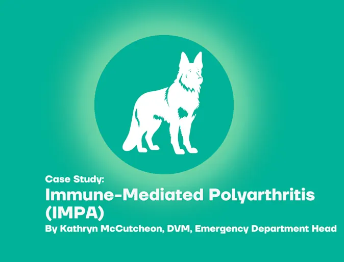 Immune-Mediated Polyarthritis Immune-Mediated Polyarthritis