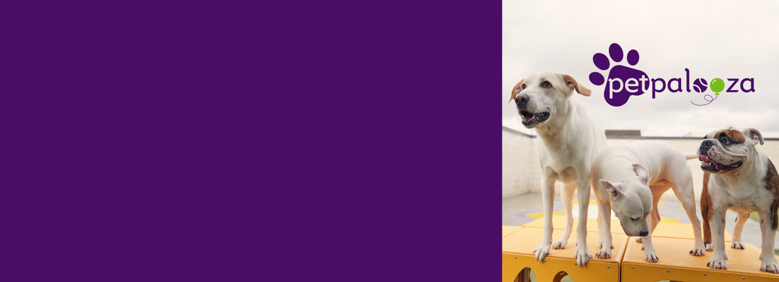 Homepage PetSuites Brookfield