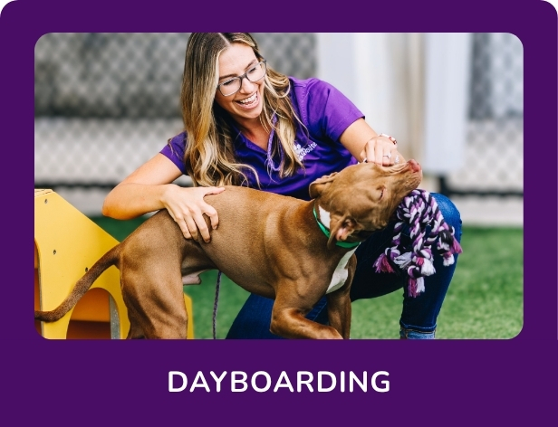 Lady smiling with dog