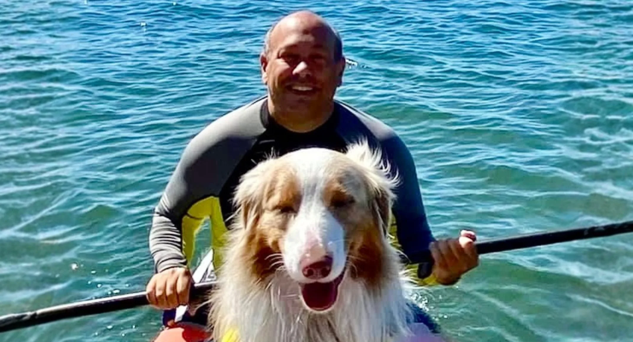 Meet Dr. Bart Iaia: American Holistic Veterinary Medical Association's newest President Meet Dr. Bart Iaia: American Holistic Veterinary Medical Association's newest President