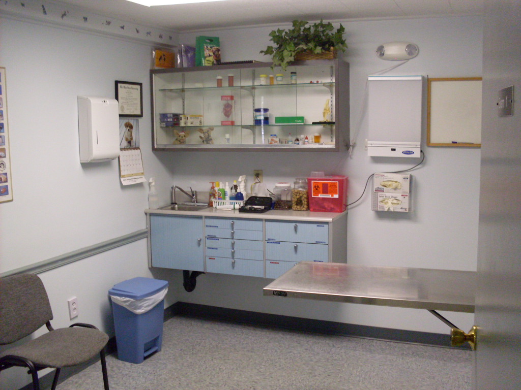 Inside the clinic room at the Mentor Animal Hospital