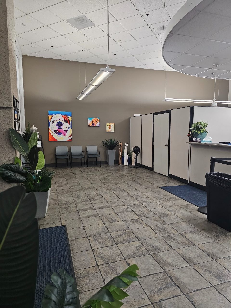 Reception are at Fresno Veterinary specialty & Emergency Center.