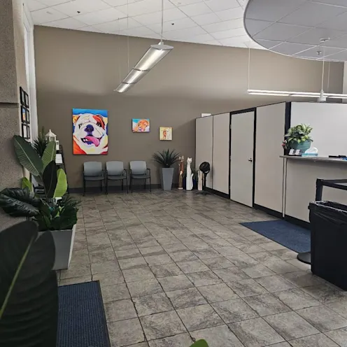 Reception are at Fresno Veterinary specialty & Emergency Center. Reception are at Fresno Veterinary specialty & Emergency Center.