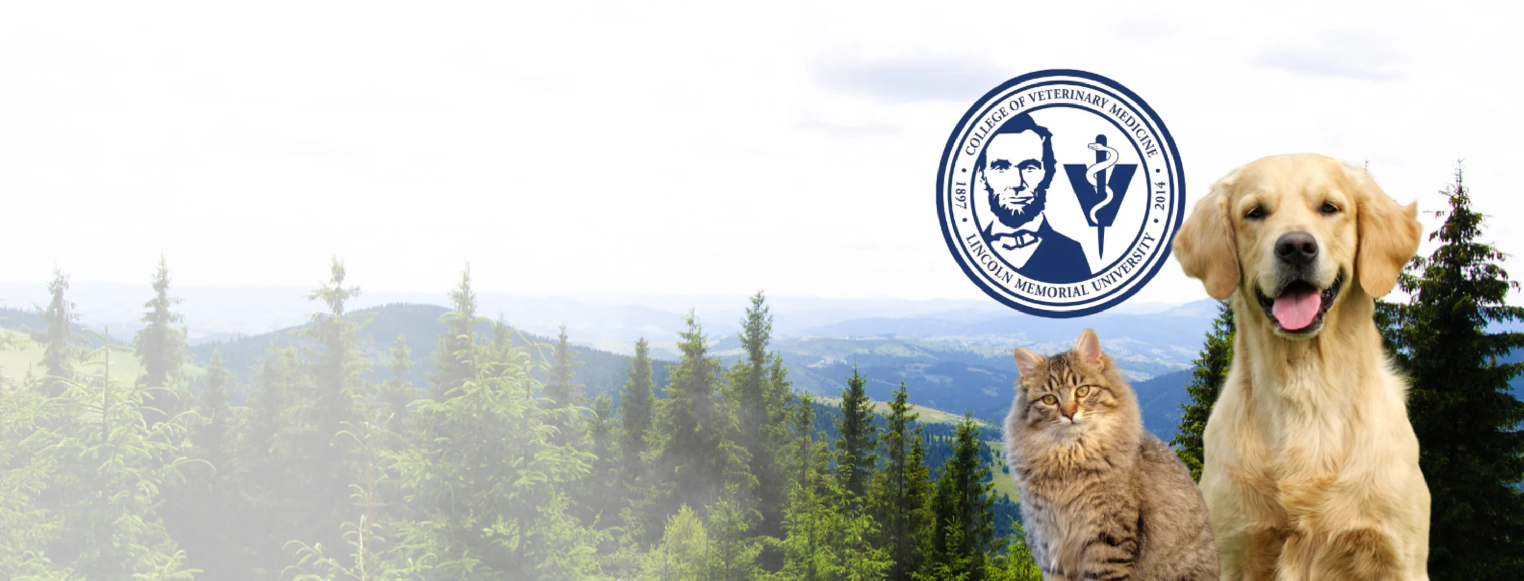 North Mecklenburg Animal Hospital - Partner of Lincoln Memorial University College of Veterinary Medicine North Mecklenburg Animal Hospital - Partner of Lincoln Memorial University College of Veterinary Medicine