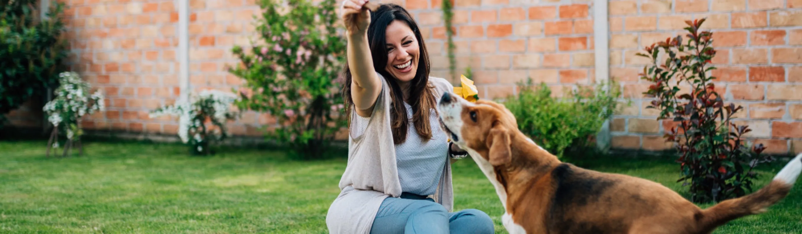 Owner Giving Dog a Treat Outside