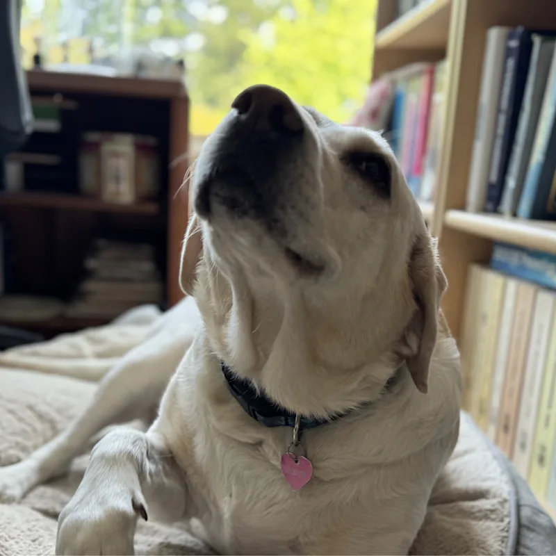 Elizabeth Elizabeth