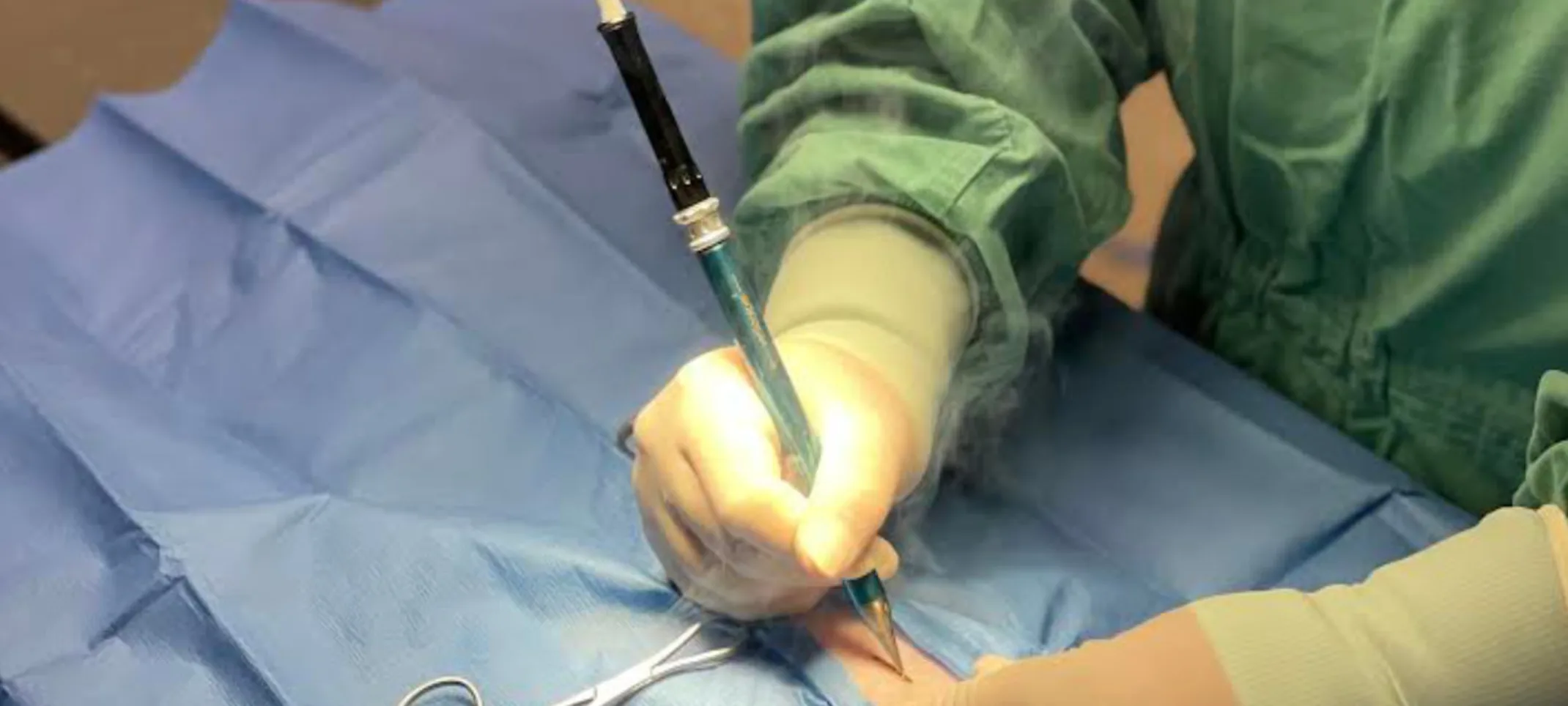 Veterinarian Performing Surgery Veterinarian Performing Surgery