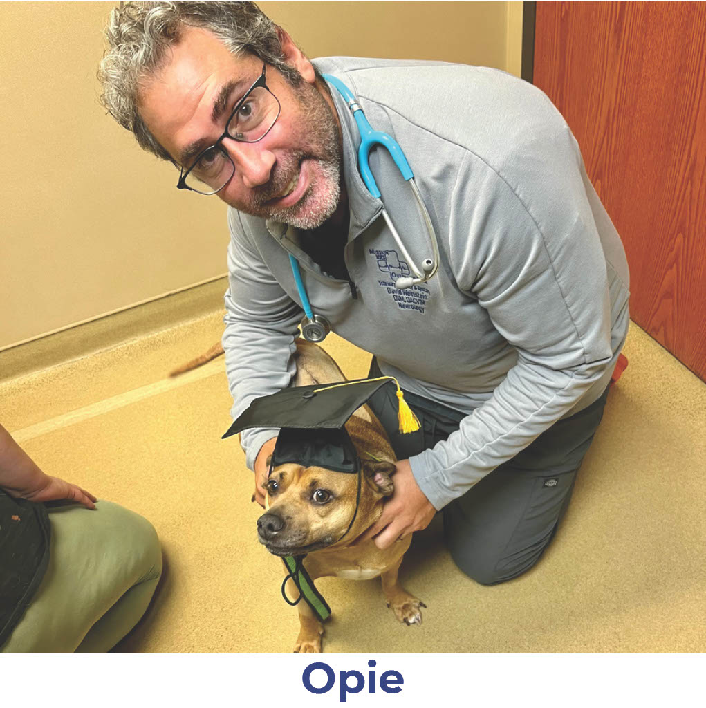 Opie the dog with Neurology Graduate Hall of Fame certificate