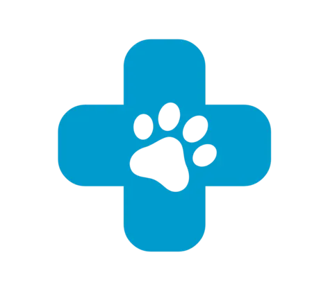 Critical Care Icon Critical Care Icon