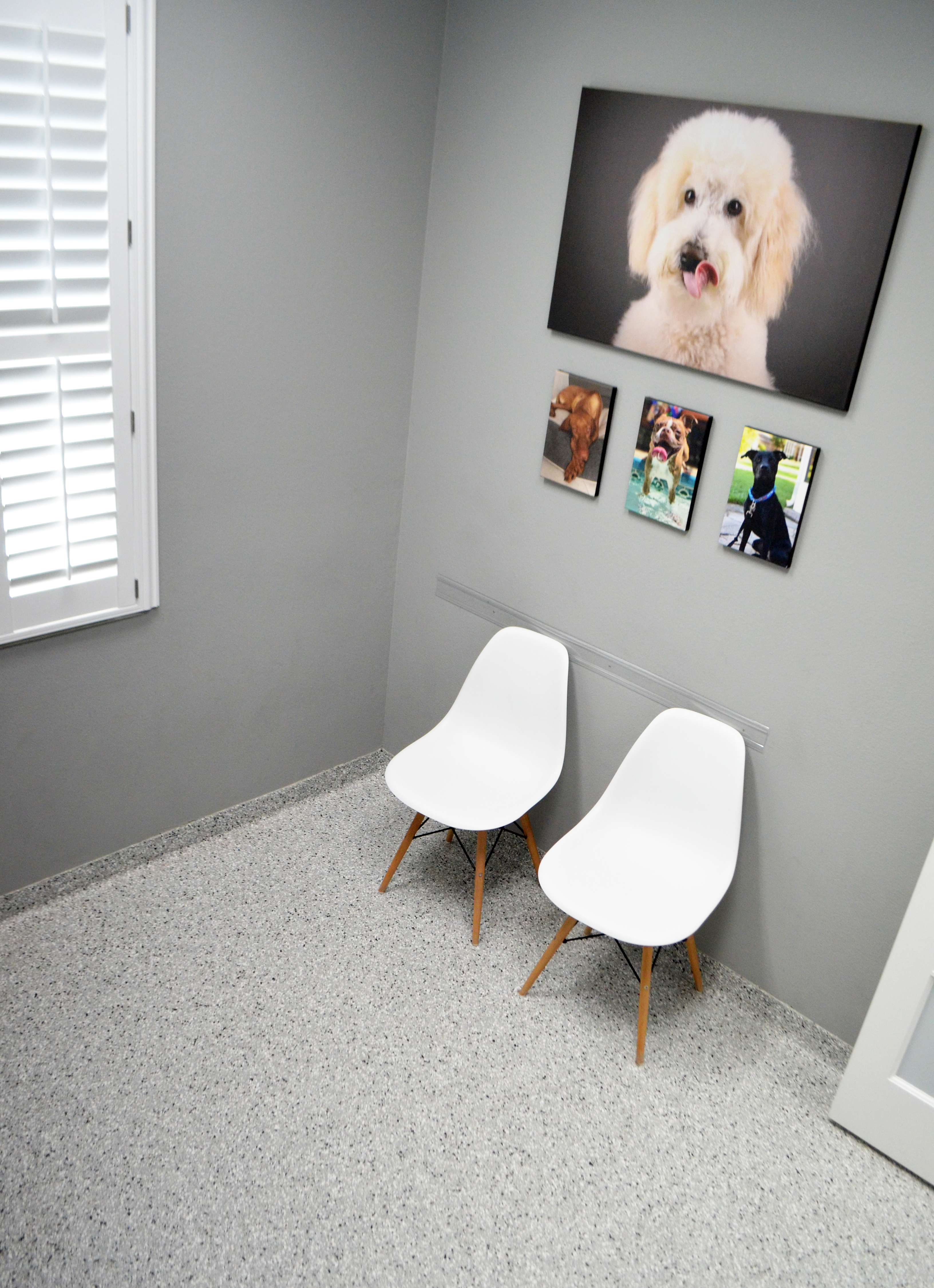 Wellness Center - Dog Room