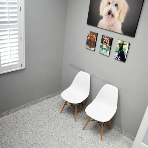 Wellness Center - Dog Room