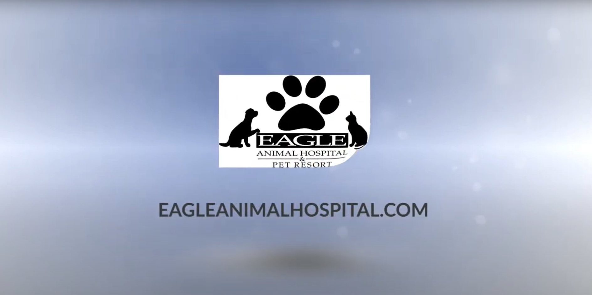 A thumbnail of a youtube video 