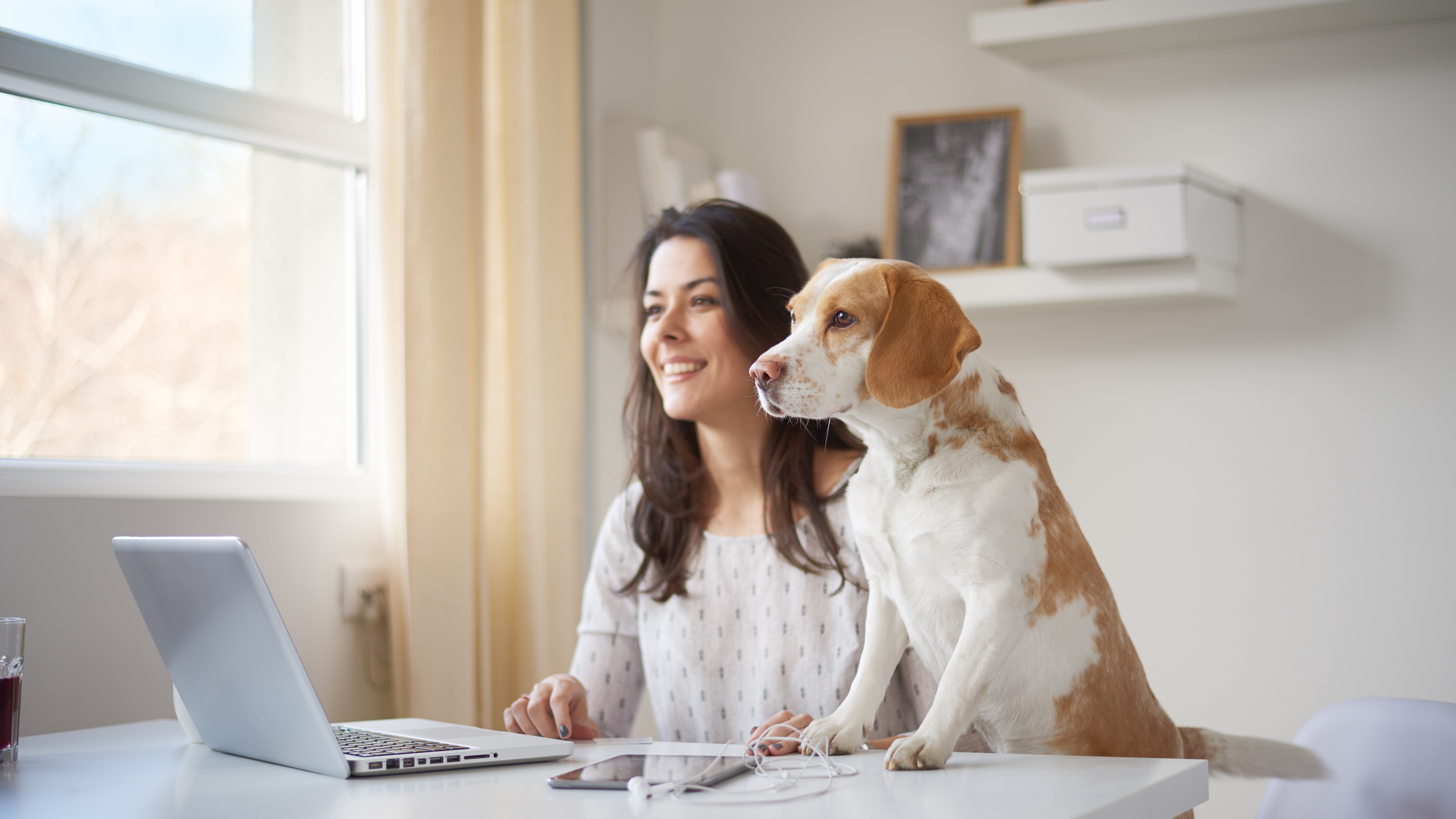 How to look at work. Собака с ноутбуком. Человек с ноутбуком и собакой. Собака за ноутбуком. Человек с кошкой и собакой.