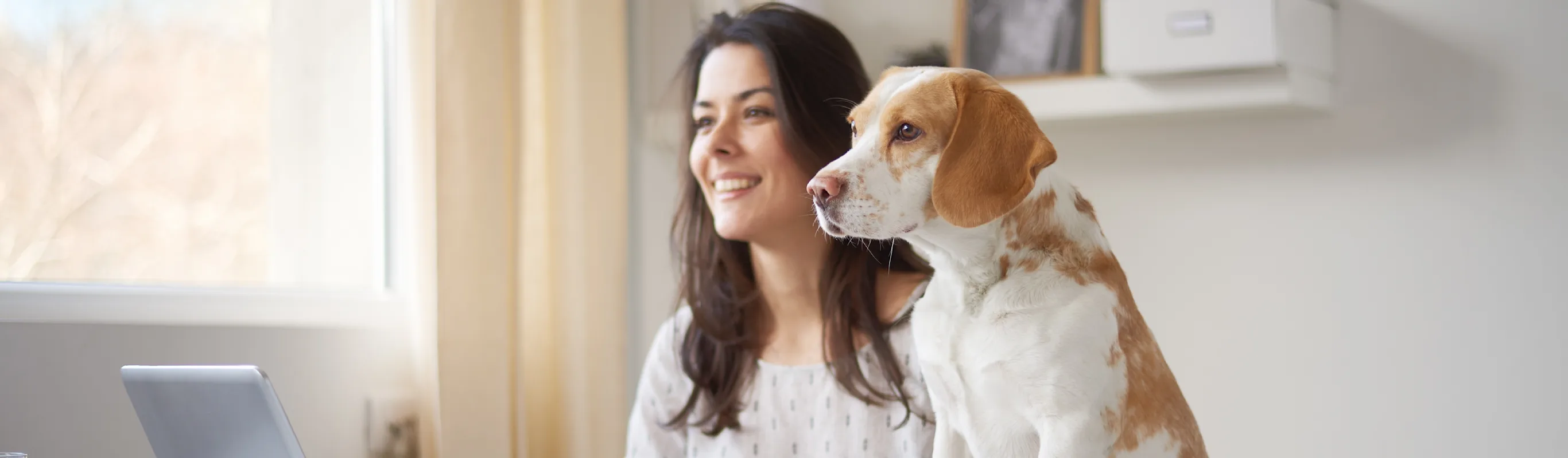 Dog and woman looking at a laptop