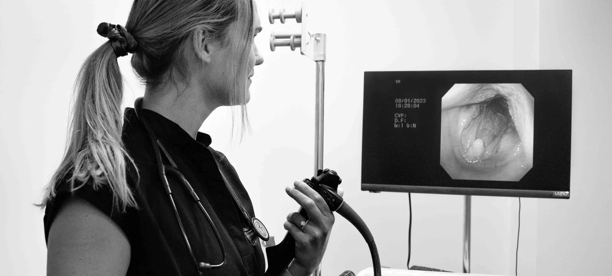 Black and white photo of an Eagleview Veterinary Hospital staff member using an endoscope on an animal