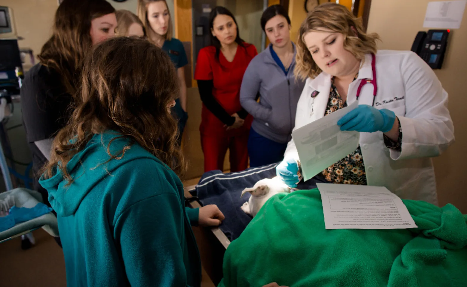 A photo of a veterinary lecture occurring at Kindness Animal Hospital