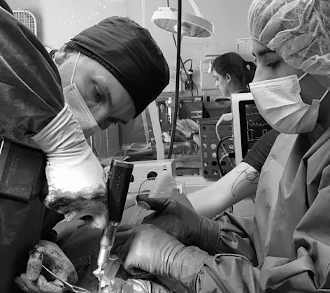 Black and white image of a doctor and staff performing orthopedic surgery Black and white image of a doctor and staff performing orthopedic surgery