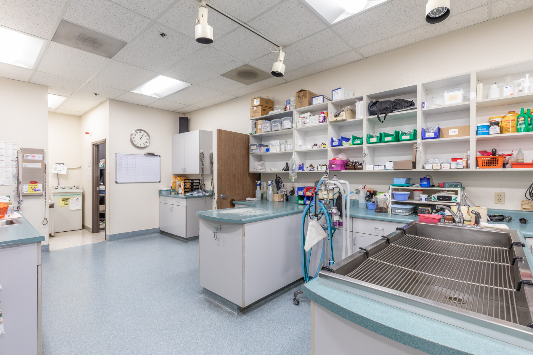 back office area with exam tables at Oak Animal Hospital