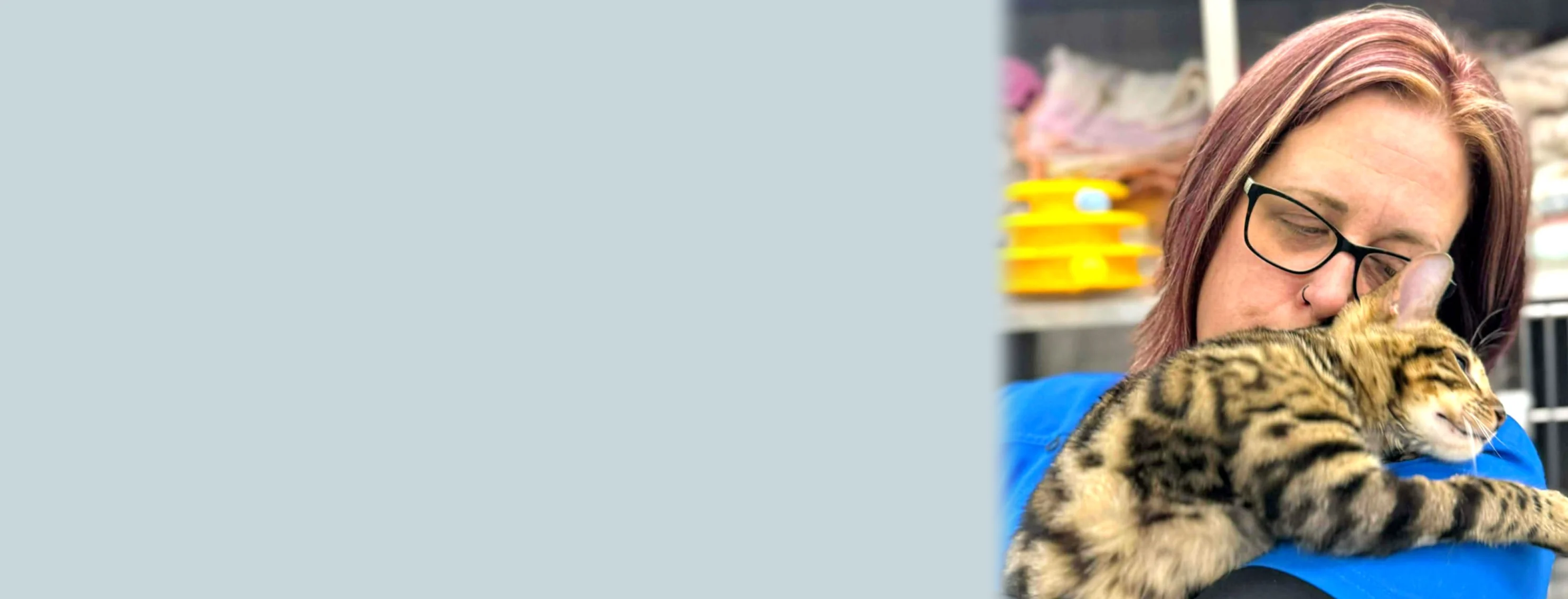 A vet holding a cat in her arms A vet holding a cat in her arms