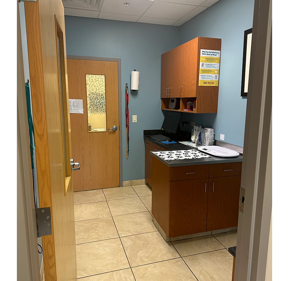 Exam Room at Winding Creek Animal Hospital
