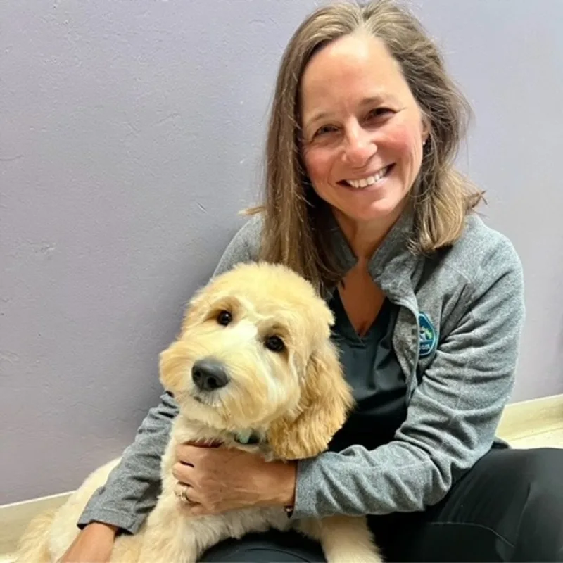 Dr. Linda George holding a fluffy grey cat. Dr. Linda George holding a fluffy grey cat.