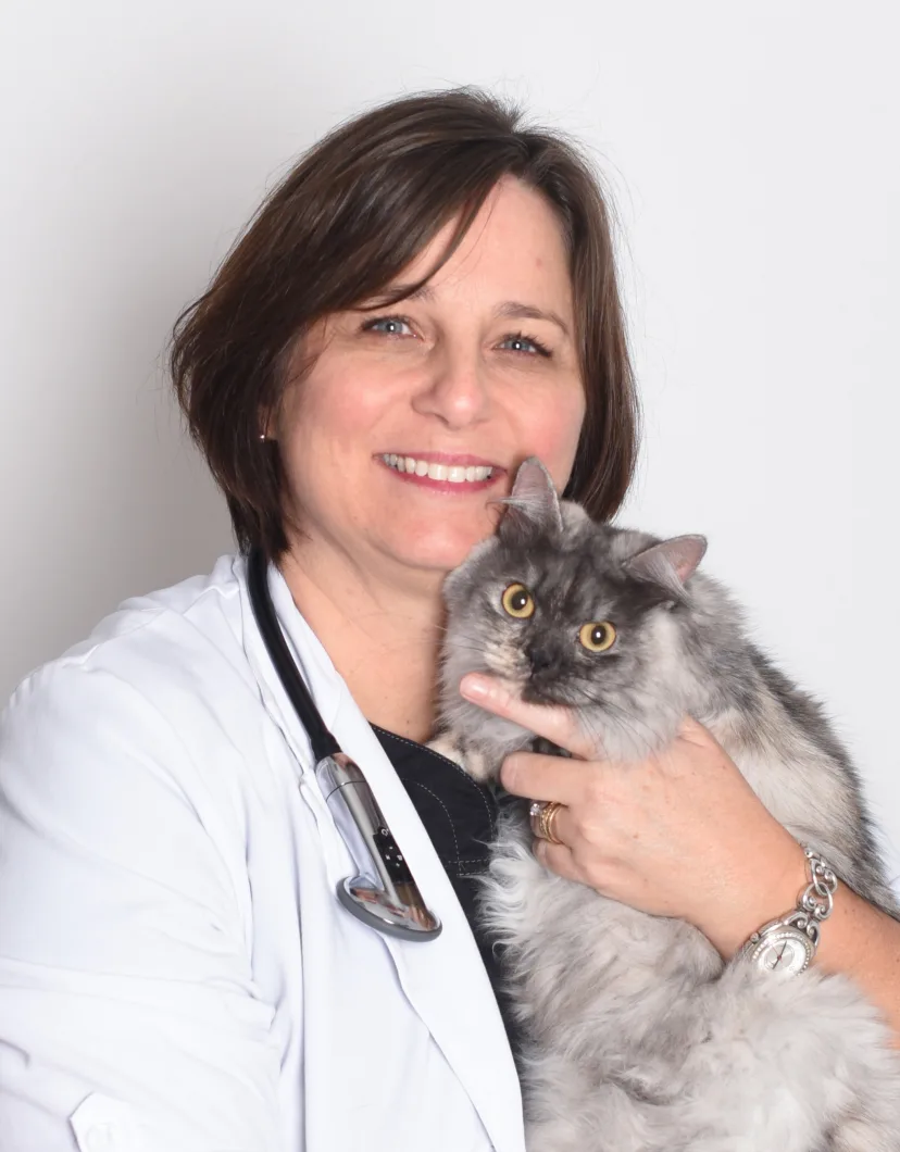 Dr. Linda George holding a fluffy grey cat.