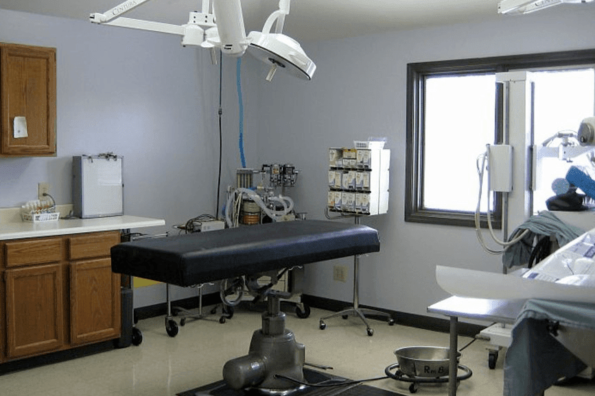 East State Veterinary Clinic Hospital Room