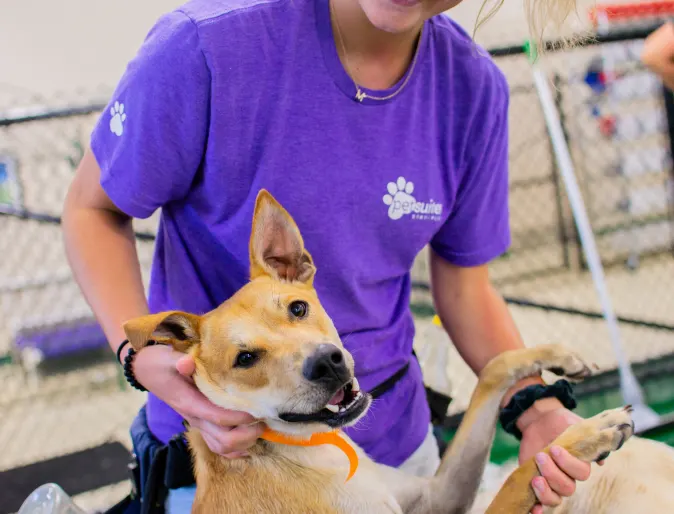 Day Boarding Day Boarding