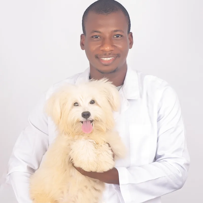 Dr. Arinze Idenyi Dr. Arinze Idenyi