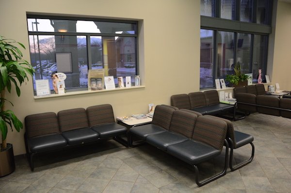 Elmhurst Animal Care Center Waiting Area