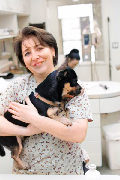 Vet holding a dog
