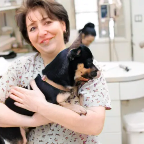 Vet holding a dog Vet holding a dog
