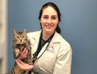 Veterinarian Holding a Cat