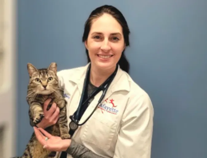 Veterinarian Holding a Cat Veterinarian Holding a Cat