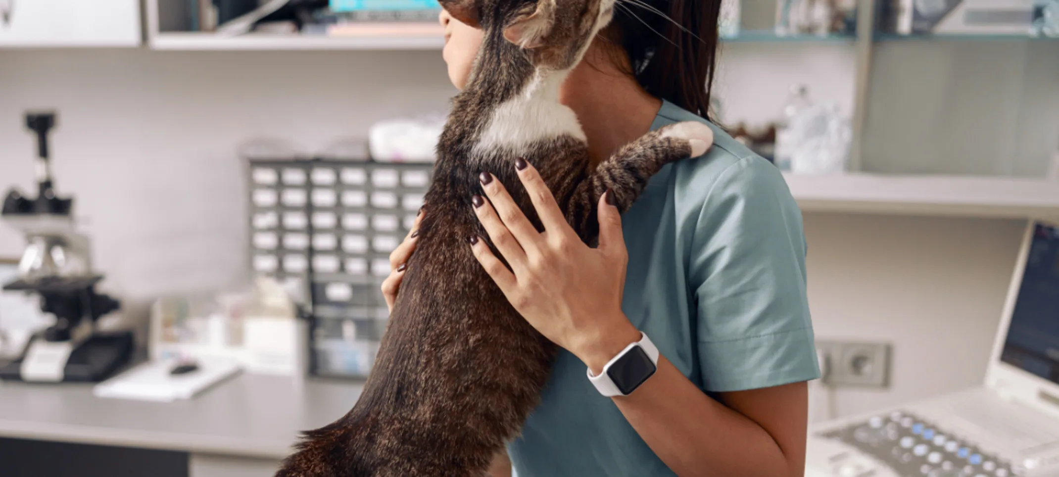 Cat in clinic hugging vet Cat in clinic hugging vet