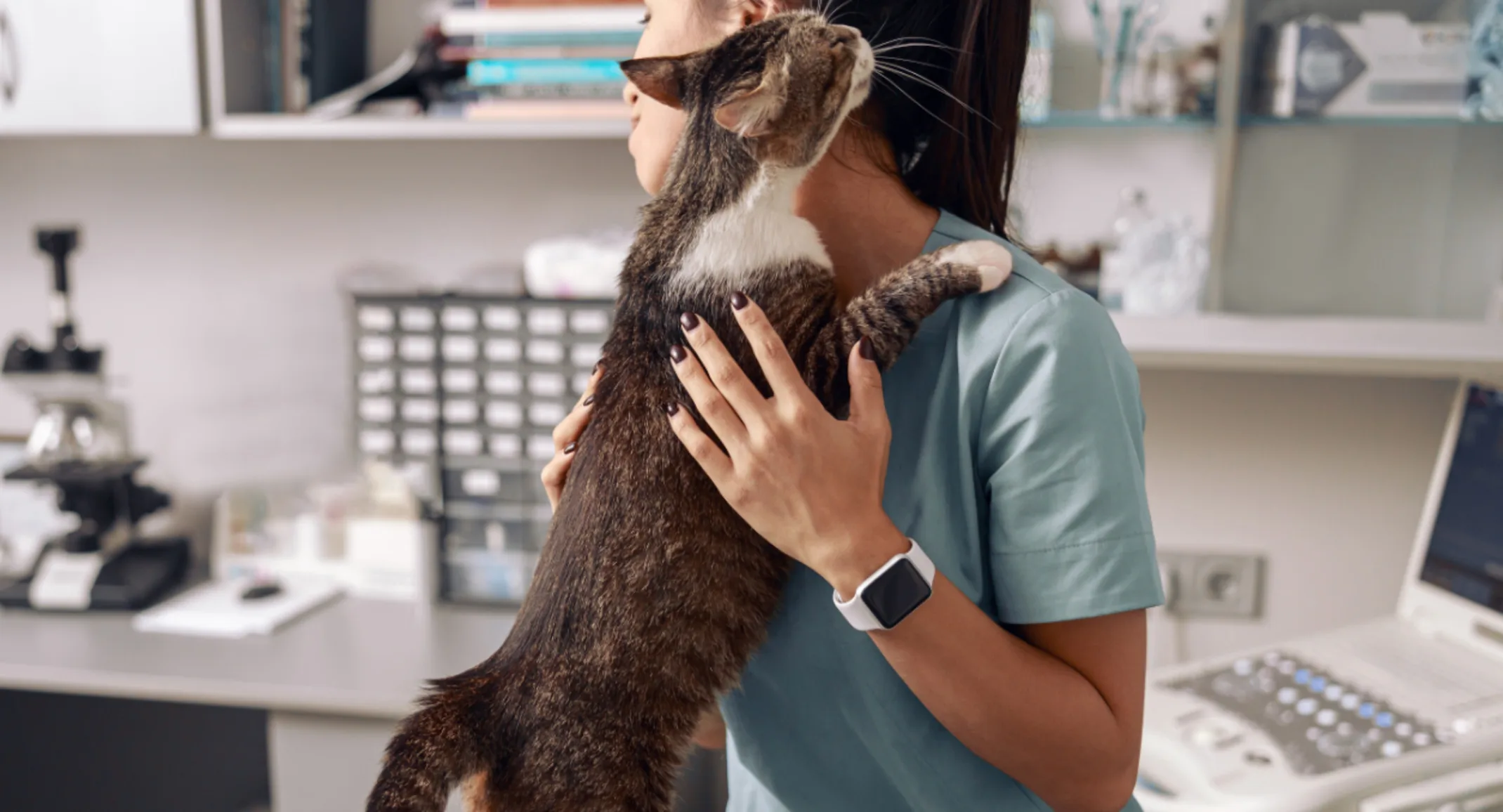 Cat in clinic hugging vet Cat in clinic hugging vet