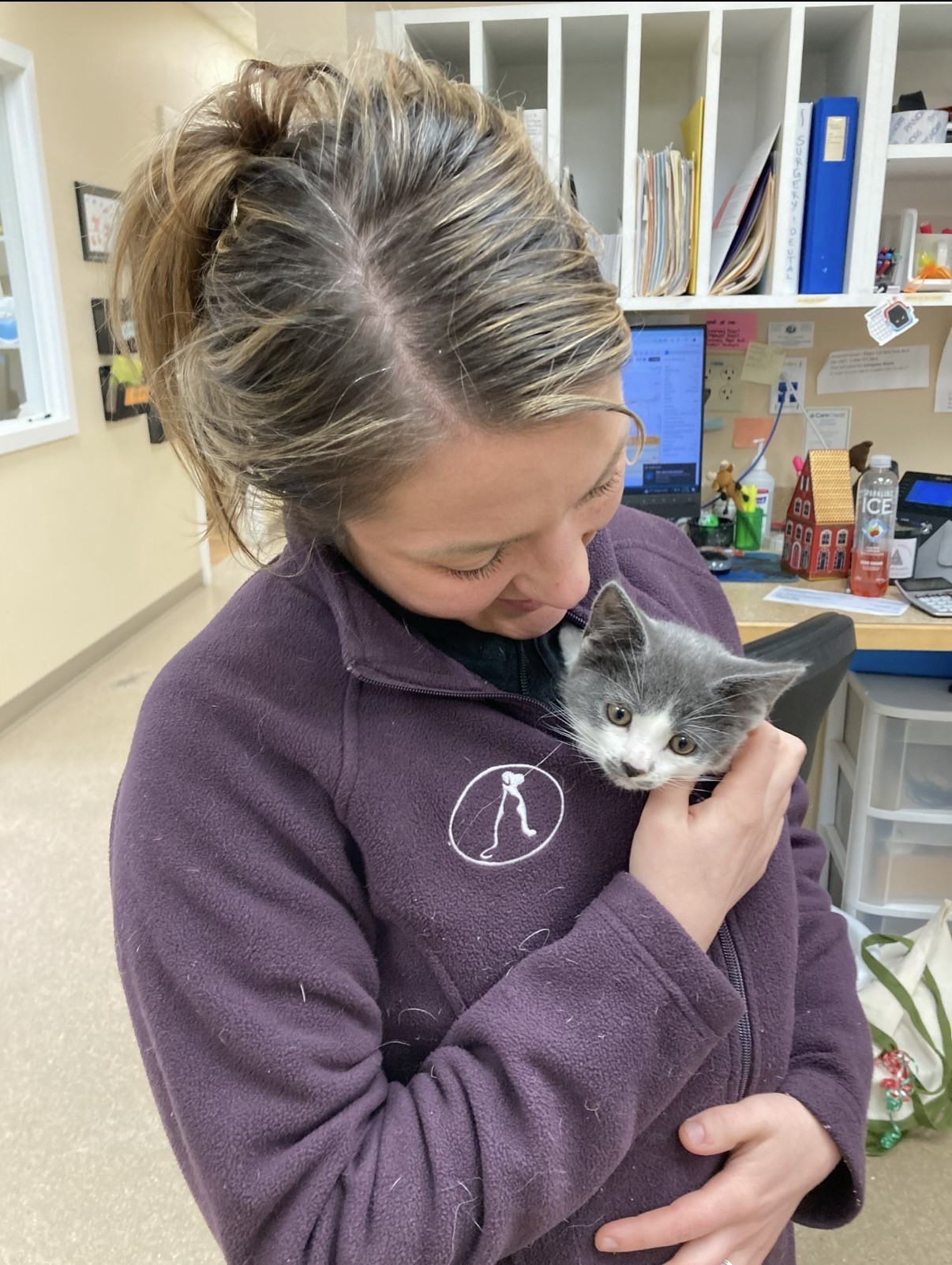 A staff member holding a small gray cat.