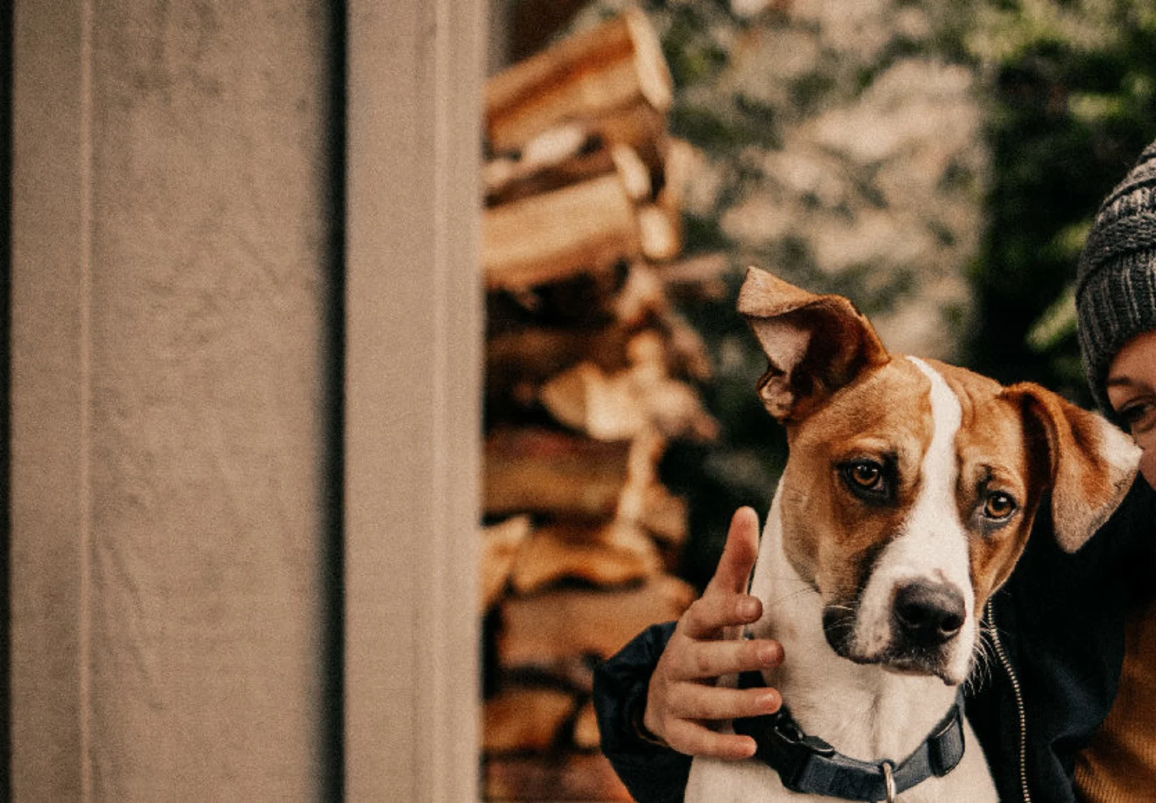 A dog snuggling with its owner outdoors next to a stack of firewood
