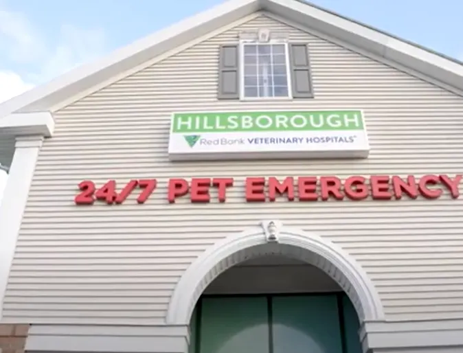 Drone shot of Red Bank Hillsborough Drone shot of Red Bank Hillsborough