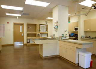 The Center for Bird and Exotic Medicine Treatment Room