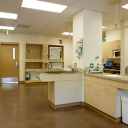 The Center for Bird and Exotic Medicine Treatment Room