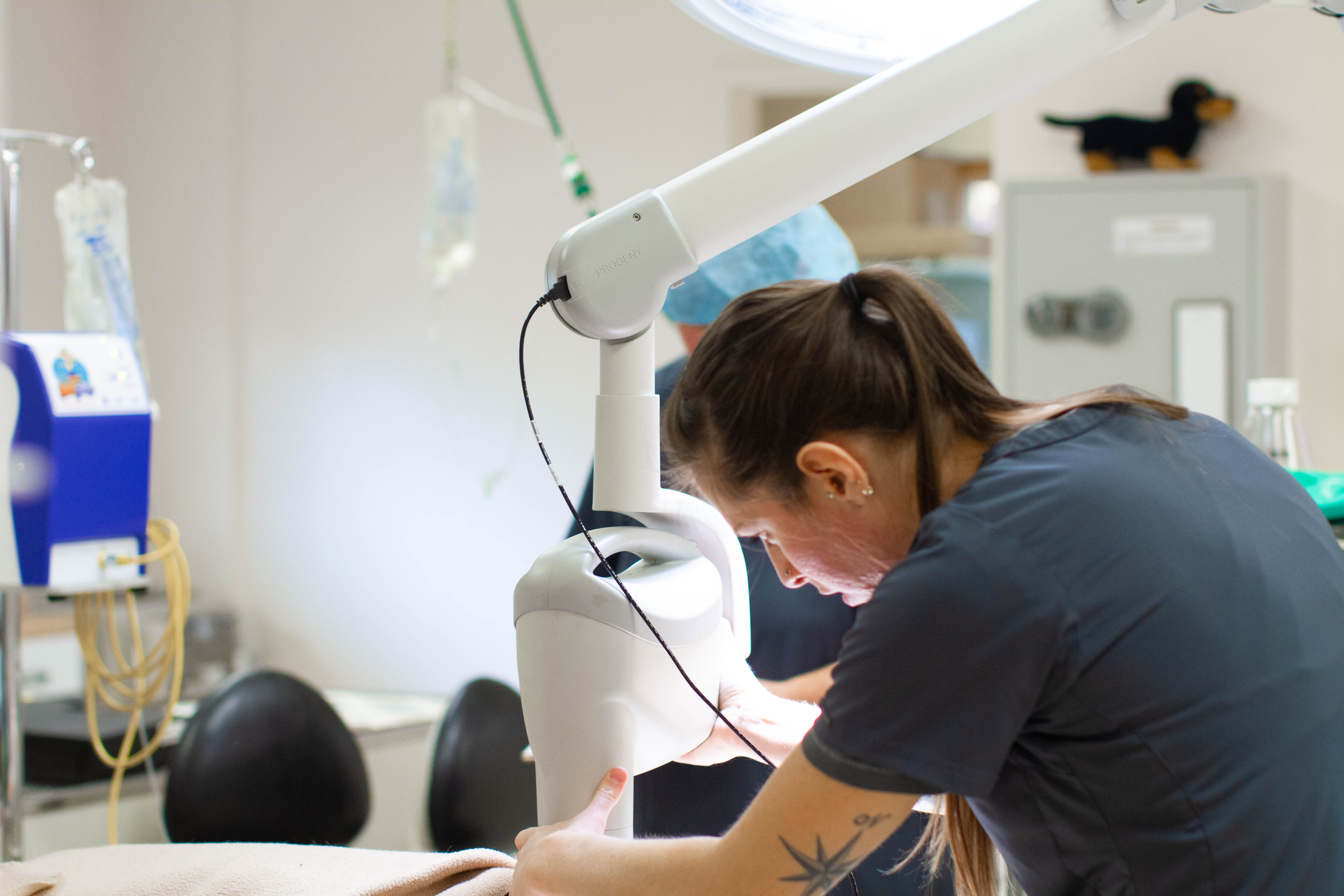 A female nurse in a dark blue scrub at Poulsbo Marina Veterinary Clinic is using an Xray on an animal.  