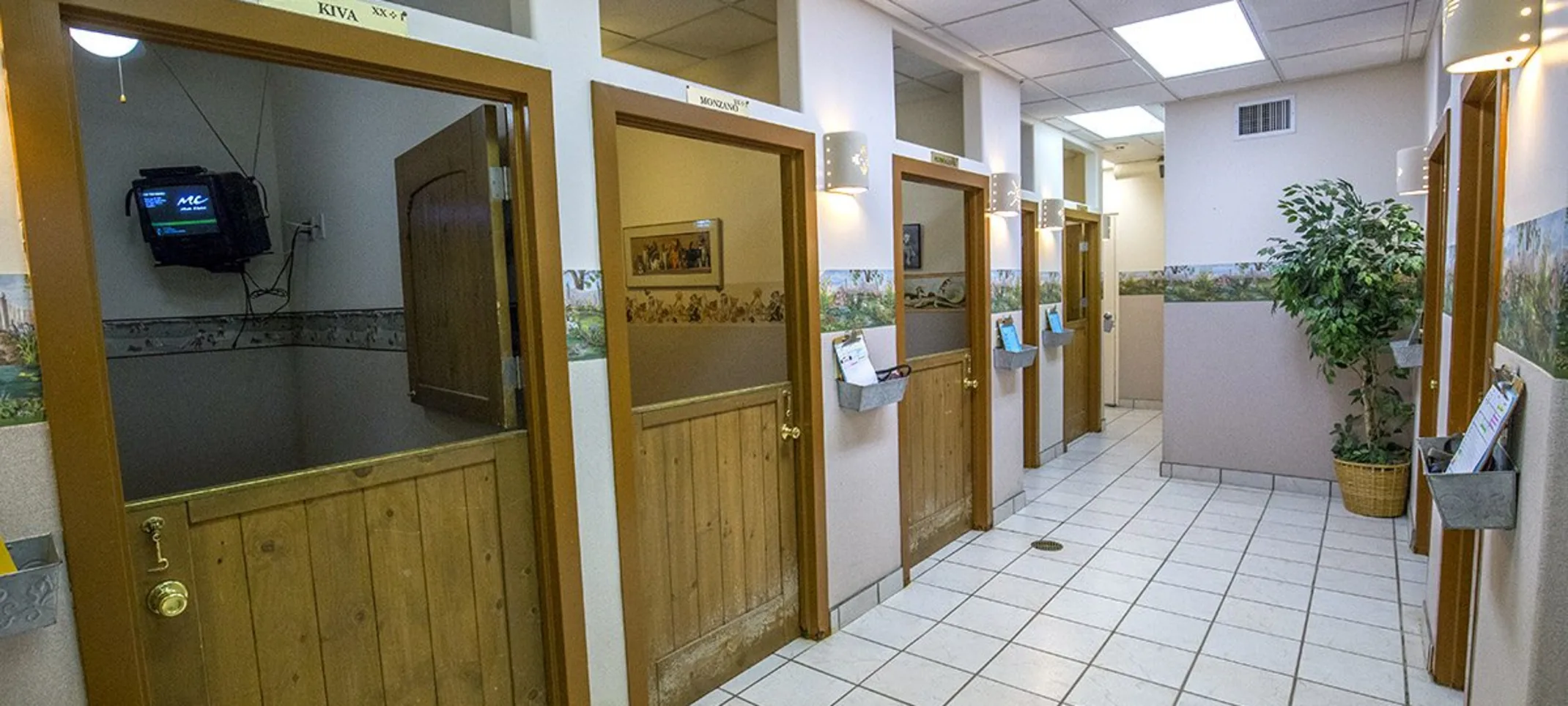 Dog boarding area Dog boarding area