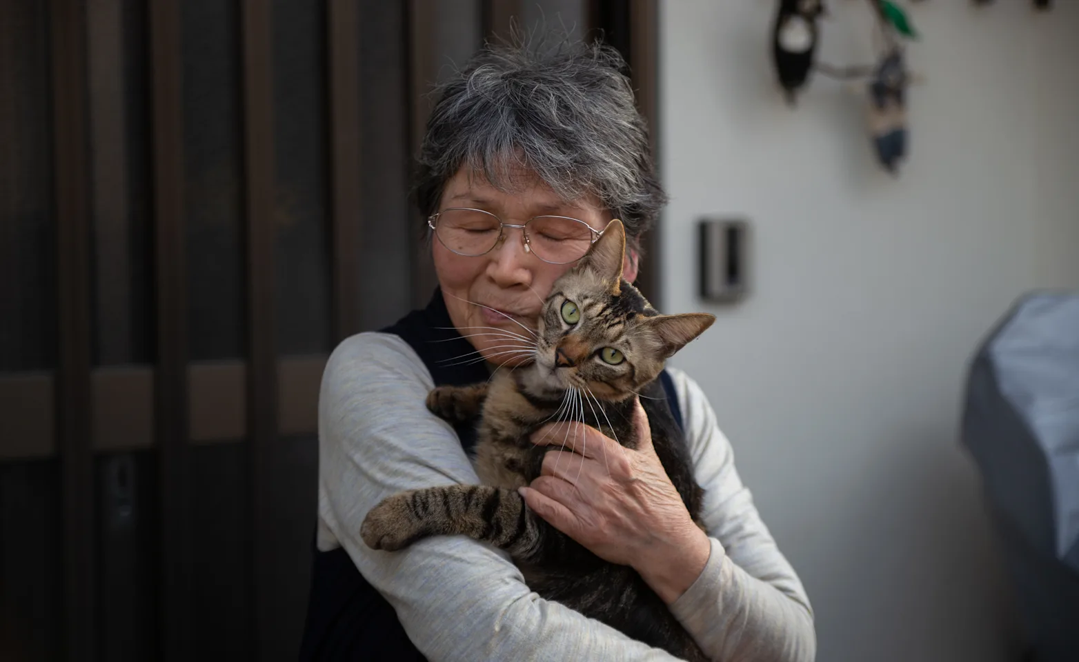 a senior cat being held by a senior citizen a senior cat being held by a senior citizen