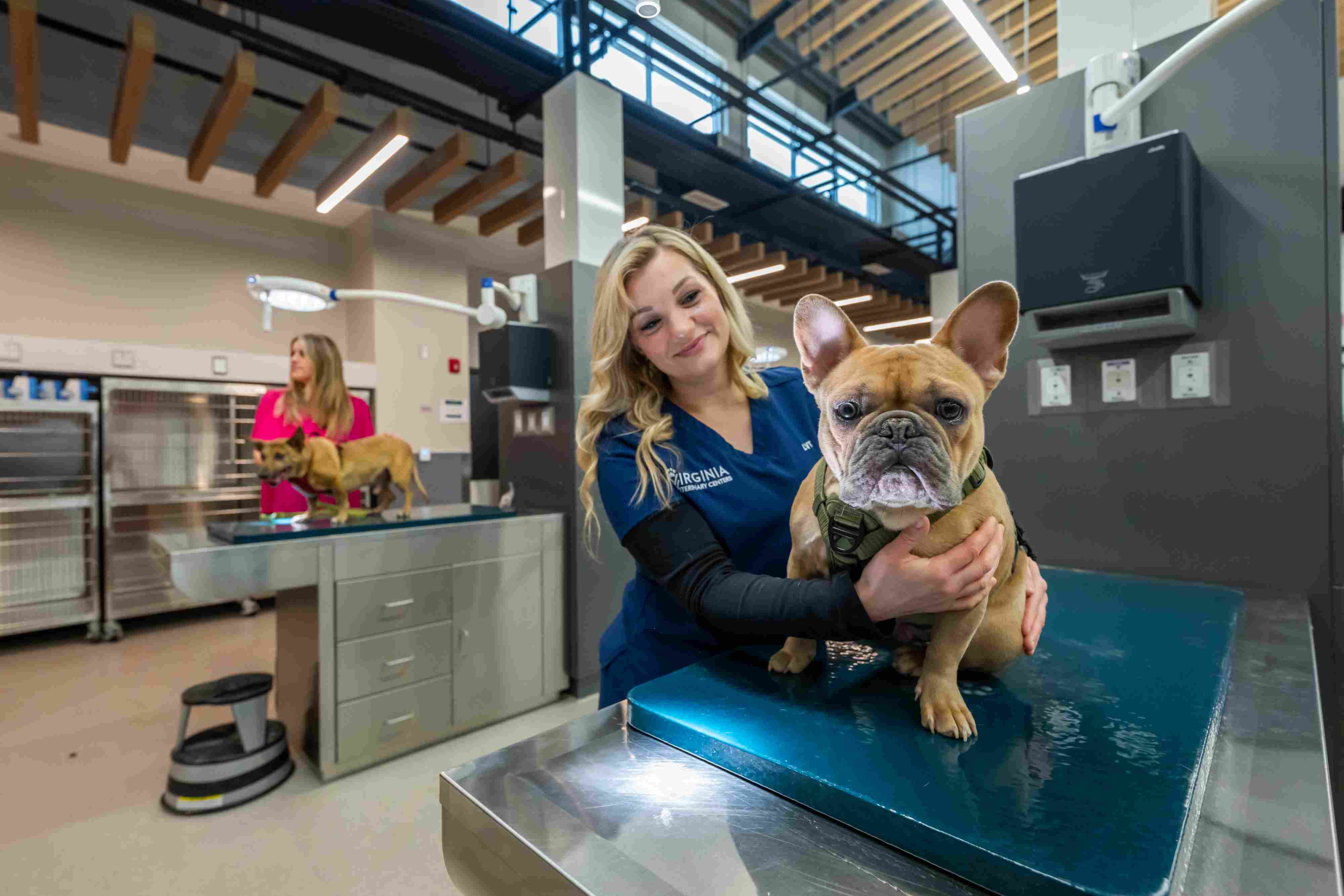  Staff member holding a french bulldog.