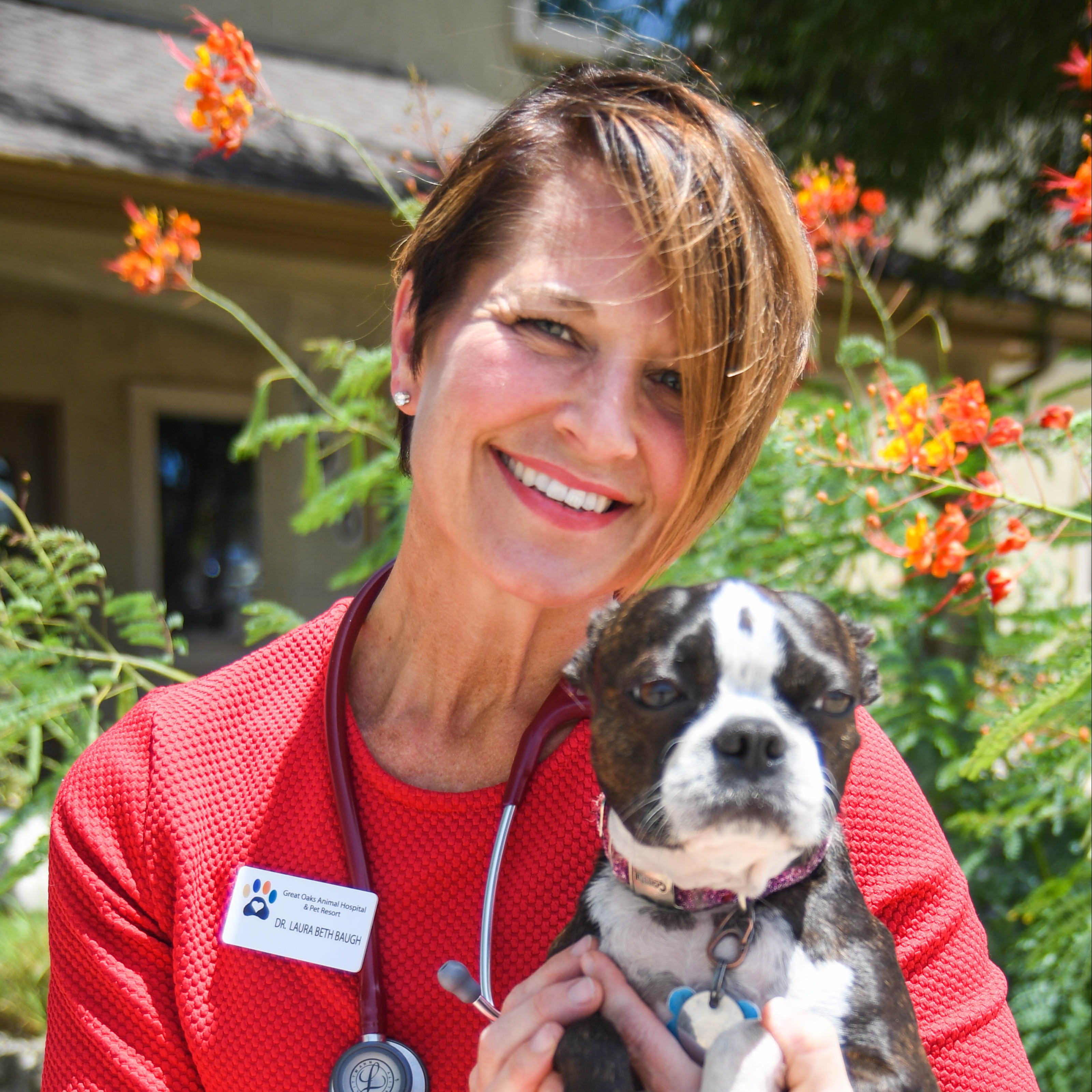 Dr. Laura Beth Baugh Great Oaks Animal Hospital