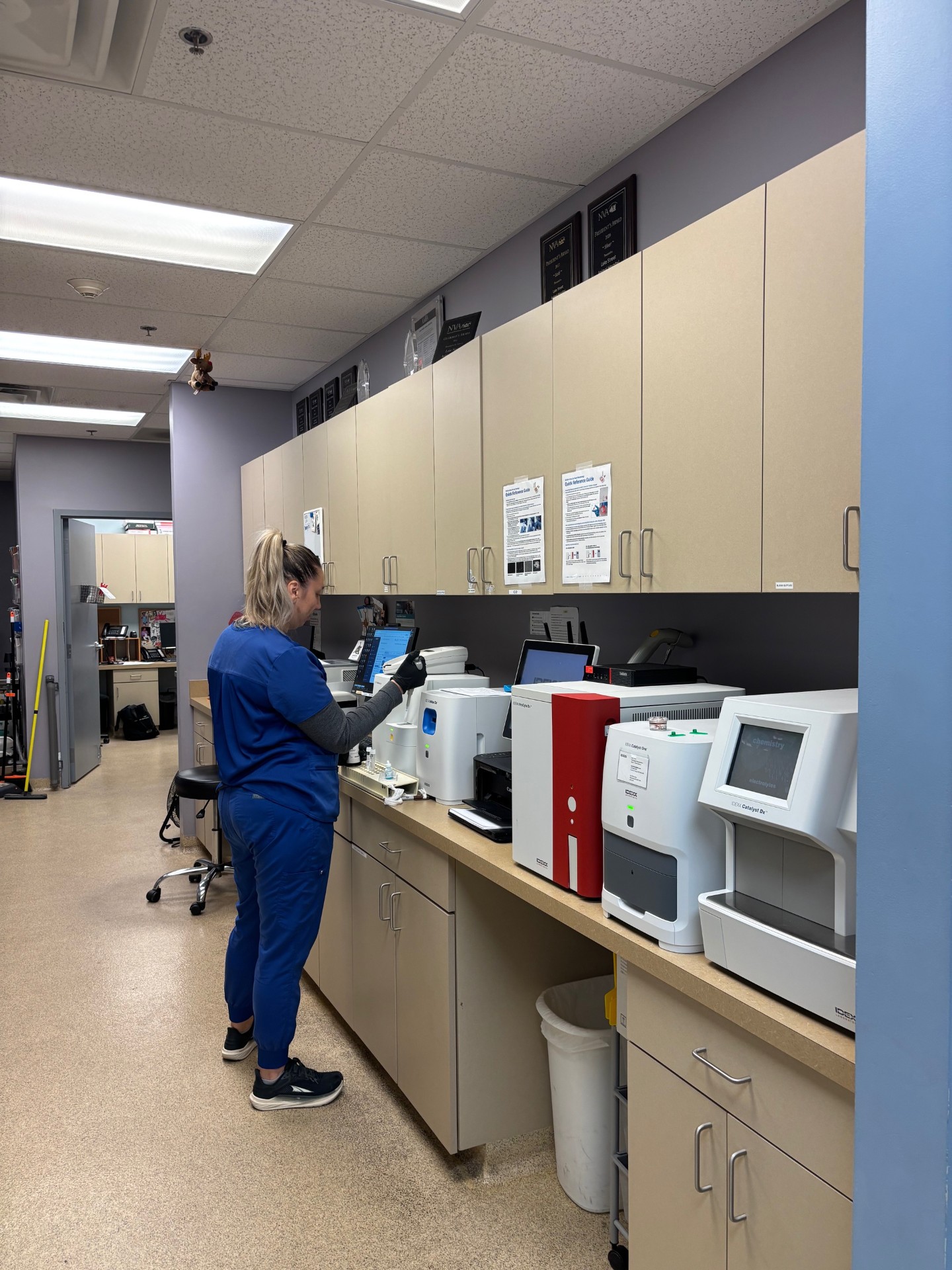 Staff member running labs