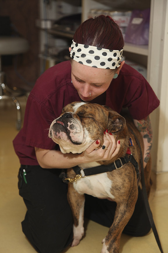 Tender Touch Animal Hospital A Little Love