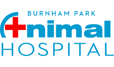 Burnham Park Animal Hospital-HeaderLogo