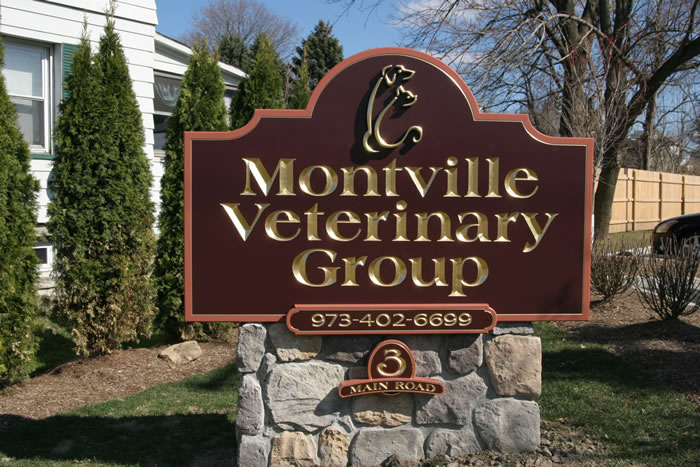 Montville Veterinary Group Sign